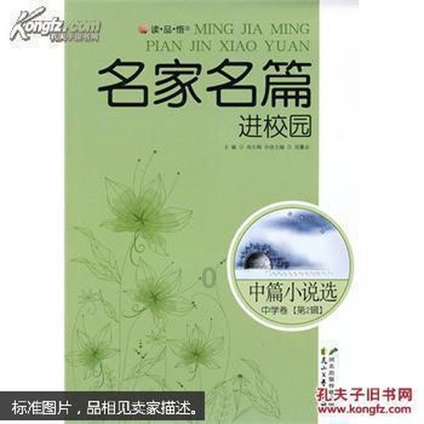 环世界